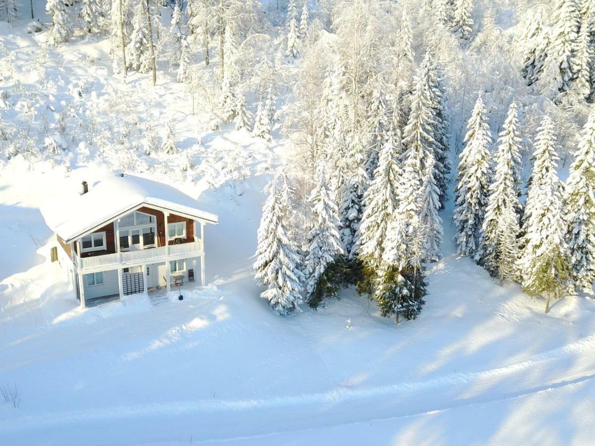 Karkutahko Villas Ruokonen Dış mekan fotoğraf